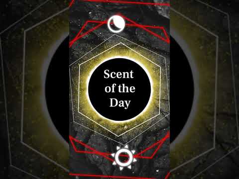 Acqua di Gio Absolu Instinct Mens Fragrance SOTD Scent of the Day