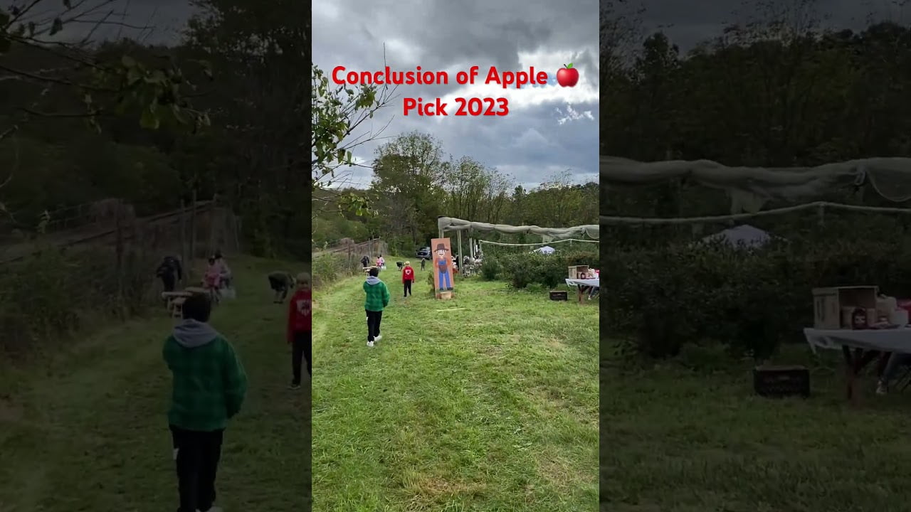 Conclusion of 2023 Apple 🍎 pick